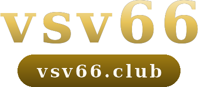 vsv66 logo